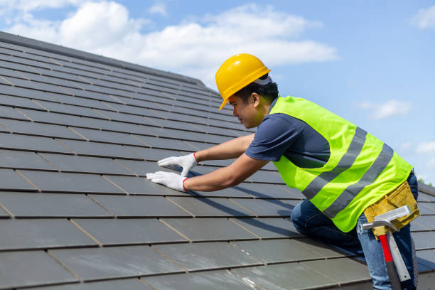 Roof Gutter Cleaning in Citrus Park, AZ